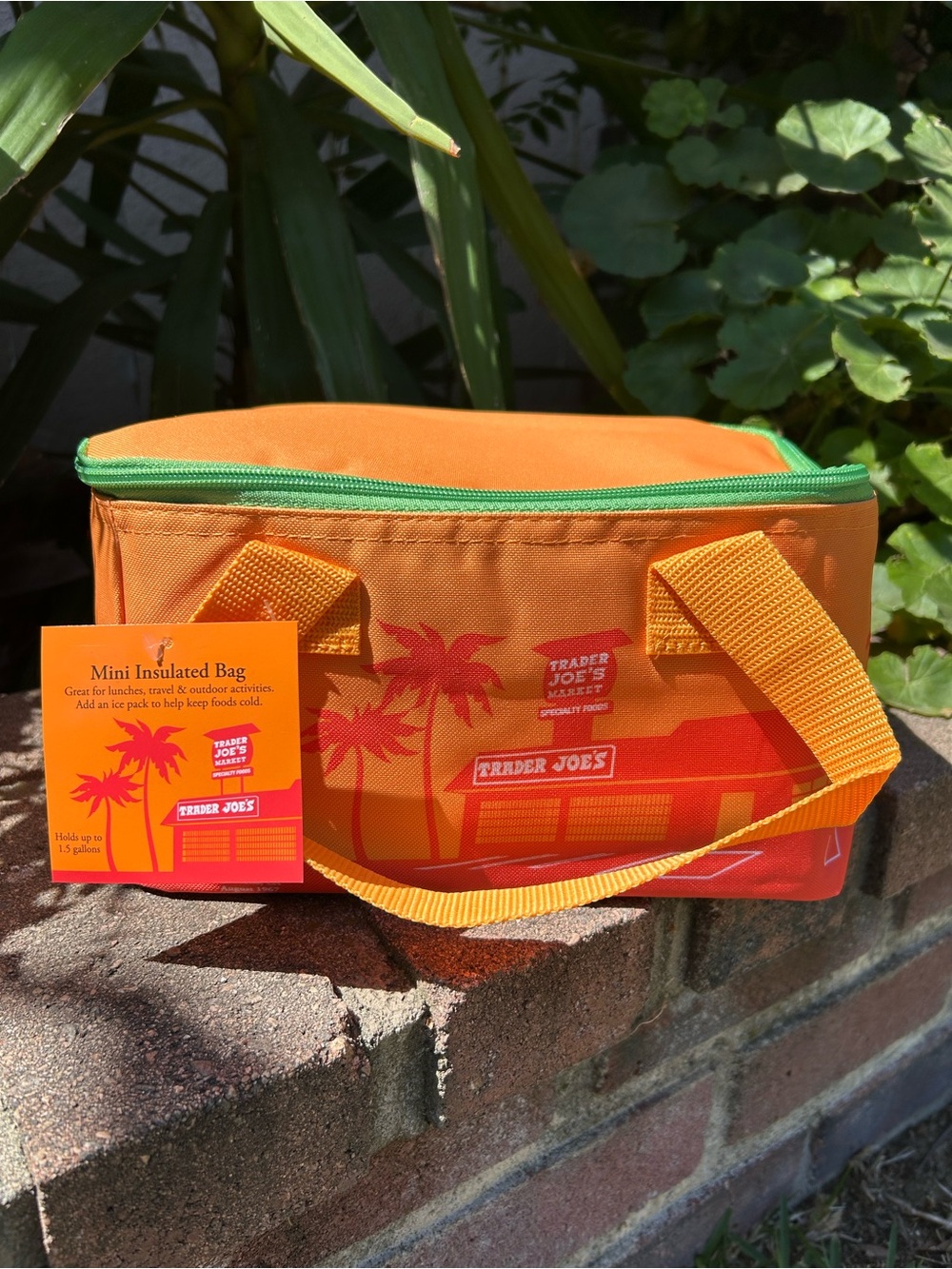 Trader Joe's Orange Mini Insulated Lunch Bag